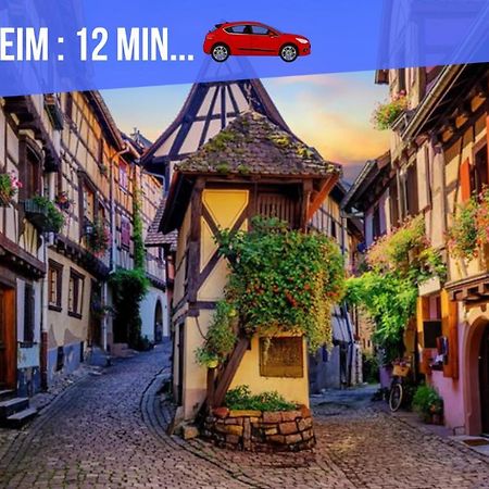 شقة Le Blue St Leon : 2 Pieces Cozy Lit King Size Wifi كولمار المظهر الخارجي الصورة